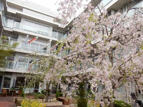 フェリオ多摩川