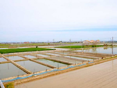 居室からの風景