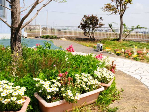 あんねいの家やとみ