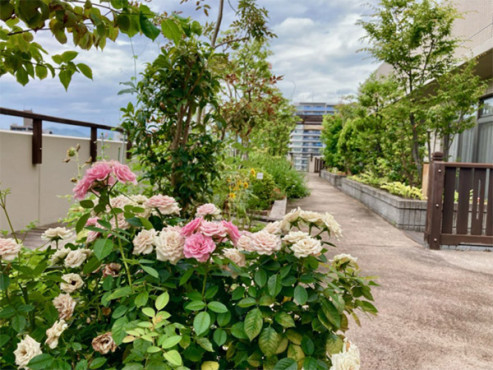 SOMPOケア ラヴィーレ平和公園