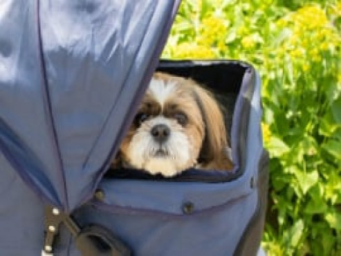 ドーミー岩槻Levi Ⅰ号館