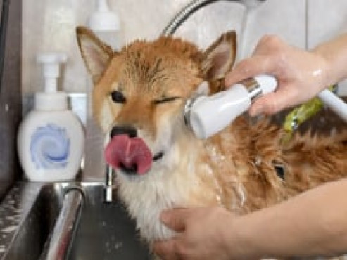 ドーミー岩槻Levi Ⅰ号館