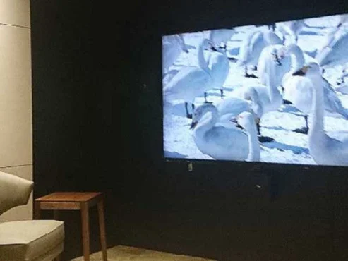 パークウェルステイト浜田山