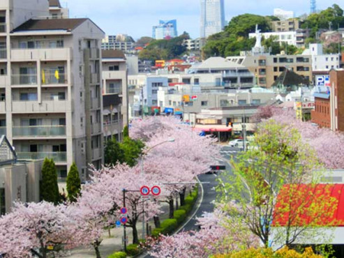 すいとぴー本牧三渓園
