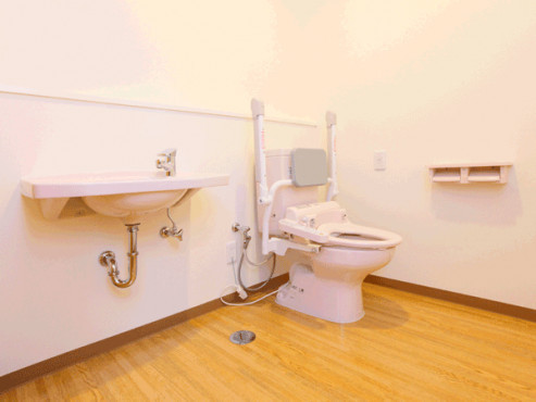 名和の樹（なわのき）