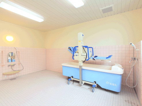 名和の樹（なわのき）