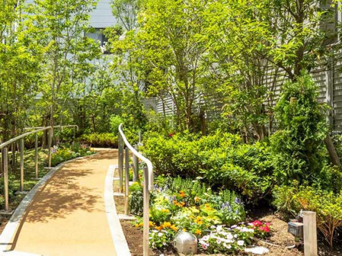 ホスピタルメント白金