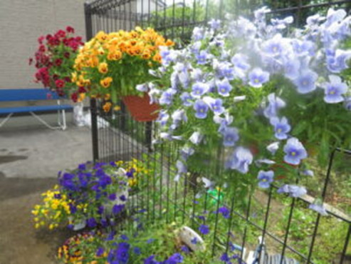 愛の家グループホーム春日部豊春