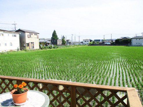 デッキからの眺め