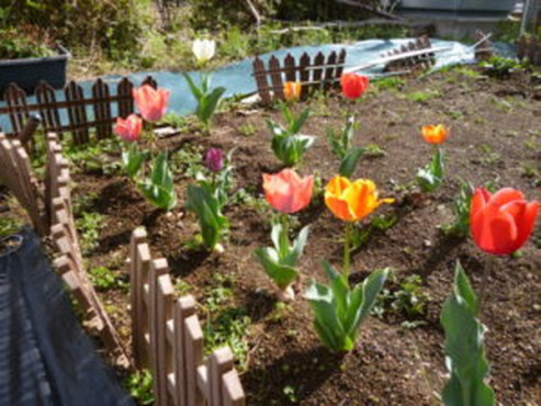 愛の家グループホーム越谷