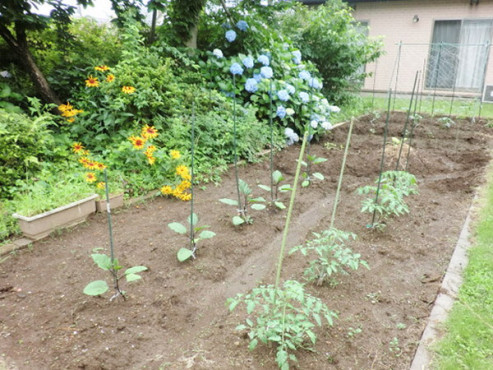 愛の家グループホーム川口東内野