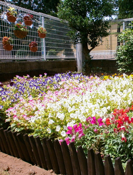 愛の家グループホーム川越的場