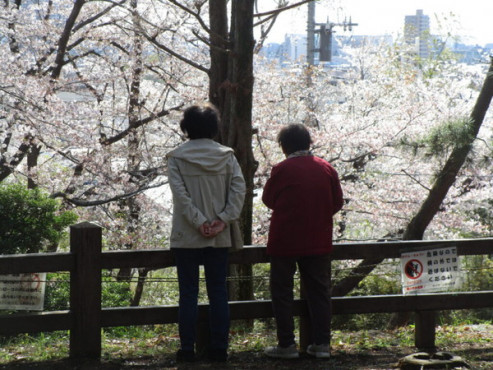 愛の家グループホーム市川国分