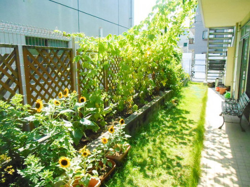 愛の家グループホーム足立加平