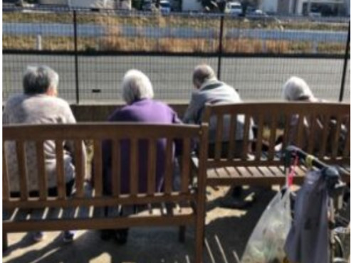 日向ぼっこの様子