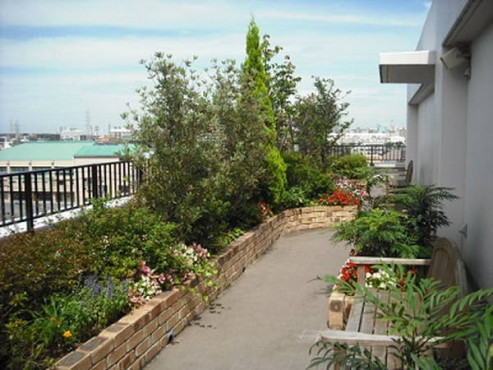 ウェルネスシップ三世