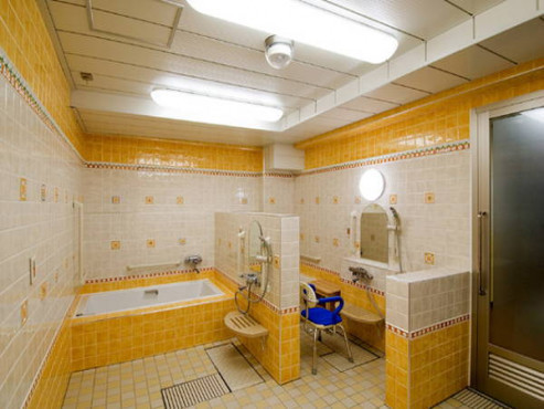 ウェルネスシップ三世