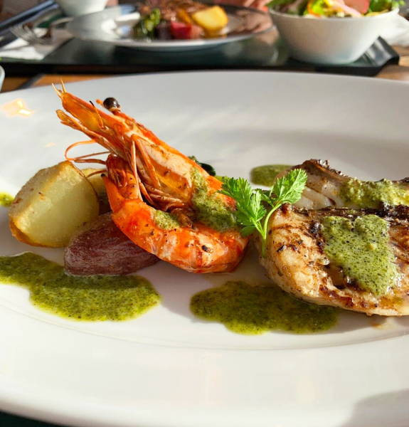 マゼラン湘南佐島