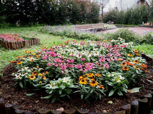 コンフォルト朝霞