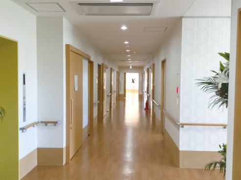 ソレイユ照照 (ぴかぴか)