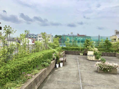 ブランシエールケア常盤台