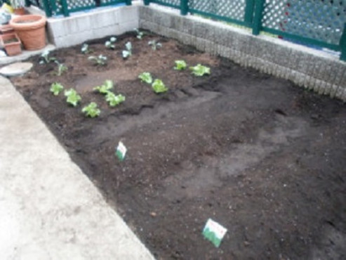 ちいさな手横浜かなざわ