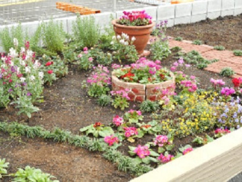 ちいさな手横浜こうなん