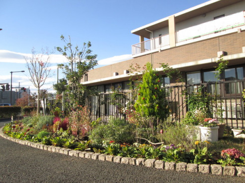 白小鳩橋めいせい