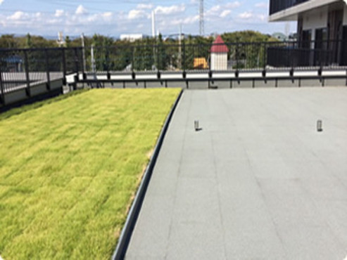 レイ・ストーリア滝山