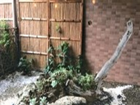 みつばメゾン与野本館