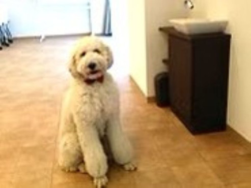 ウィズ・ワン成田