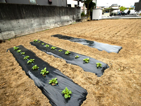 グループハウス三島谷田