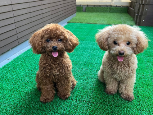 メックテラスたまプラーザ