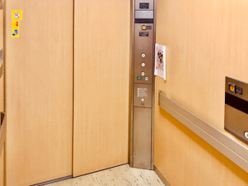 いつくしの杜鹿嶋