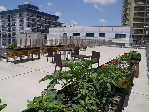 ピュアテラス川口青木