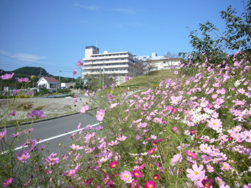 施設外観　コスモス