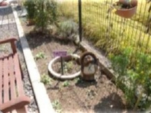 ふれあい多居夢大宮