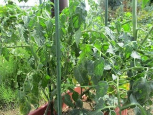 グループホーム和み上尾