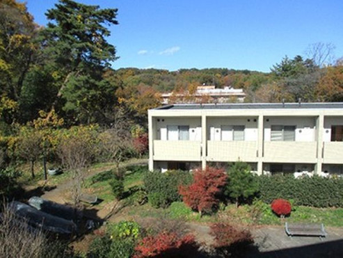 グリューネスハイム新山手