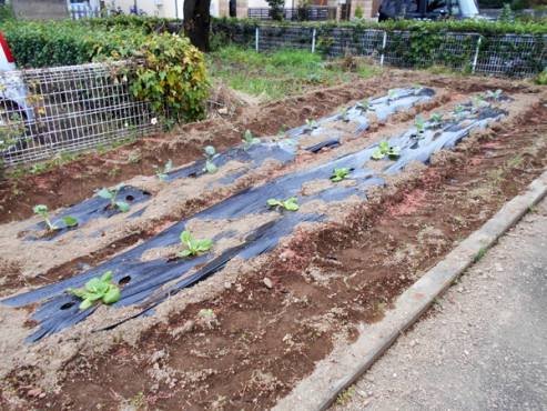 グループホームなでしこ＜ケアサプライシステムズ株式会社＞