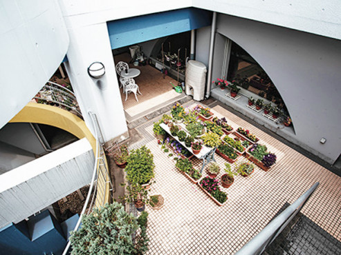 ライフ・イン京都