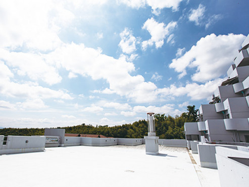 ライフ・イン京都