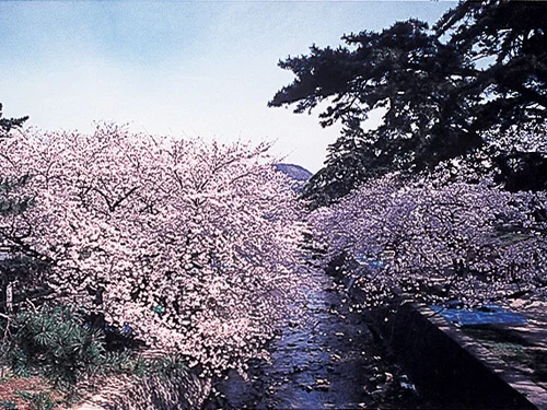 アクティブライフ夙川（しゅくがわ）