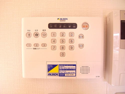 ハイビスカス北山