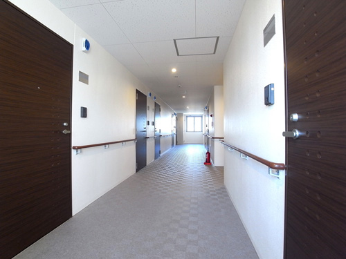 ハイビスカス北山