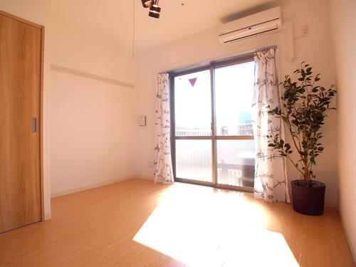 ハイビスカス北山