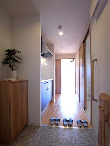 ハイビスカス北山