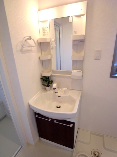 ハイビスカス北山