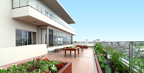 屋上（6階）南面庭園（2）