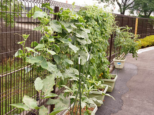 レザミ鶴見緑地